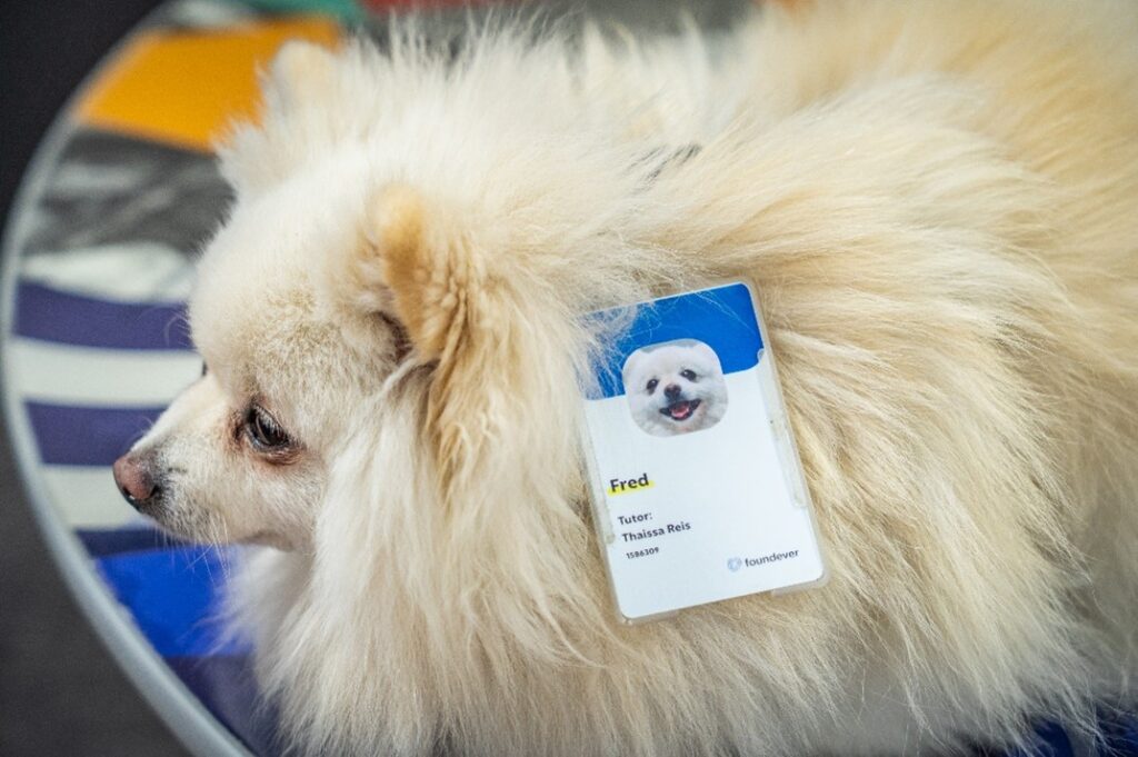 benefício Pet Friendly