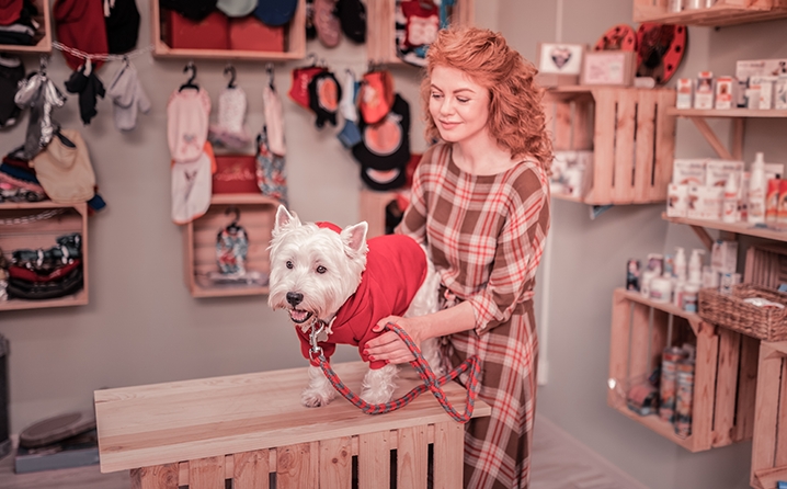 mercado pet food