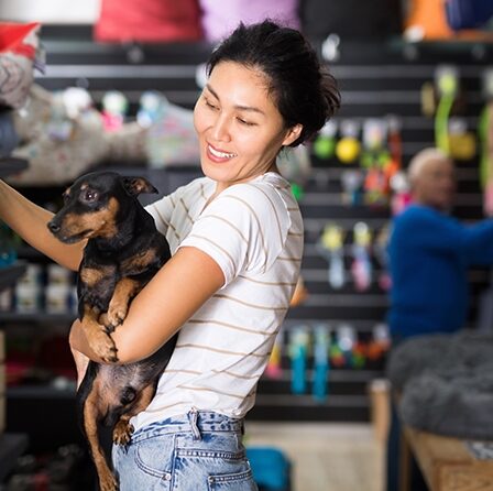 mercado pet food