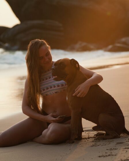 woman holding boxer dog on beach shore