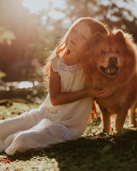 girl hugging adult chow chow sitting on grass field