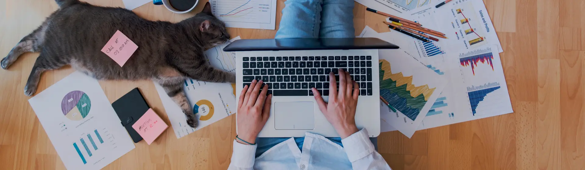mba pet