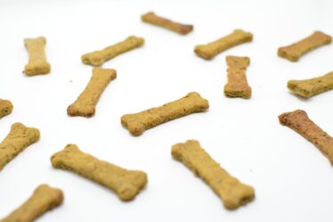 bone shaped dog treats biscuits