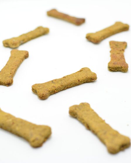 bone shaped dog treats biscuits