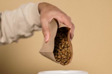 a person pouring dog food on the bowl