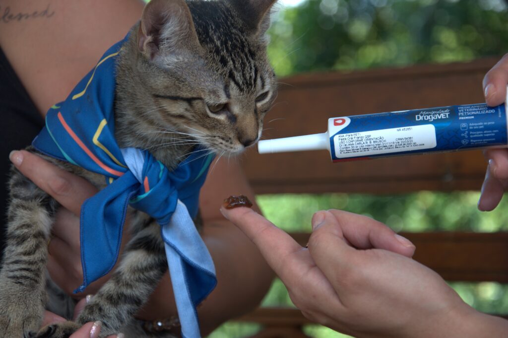 hábitos alimentares dos gatos