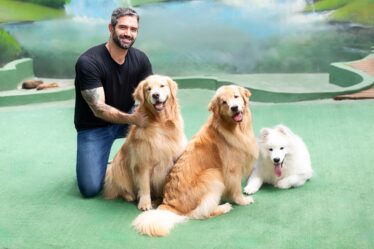 pet shop