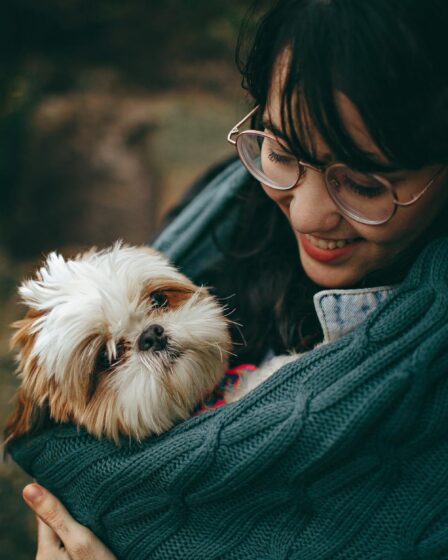 selective focus photography of white and tan shih tzu puppy carrying by smiling woman