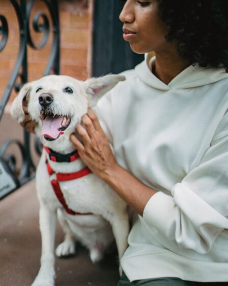 black woman petting dog on porch