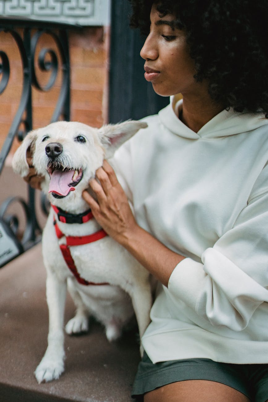 black woman petting dog on porch