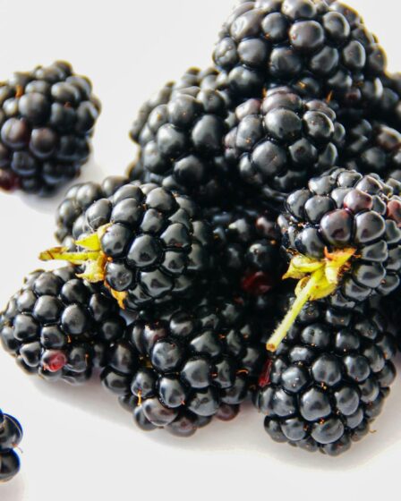 blackberries on table