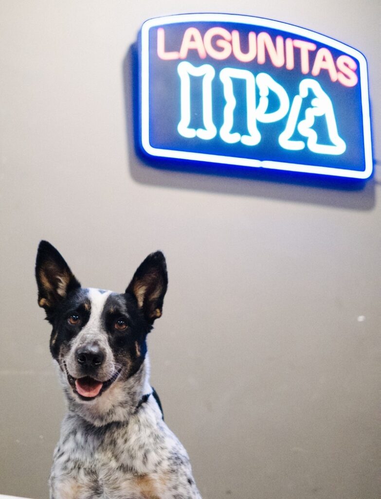 lagunitas