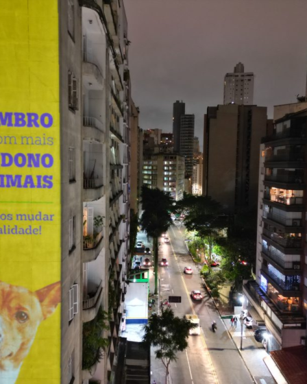Dezembro Verde