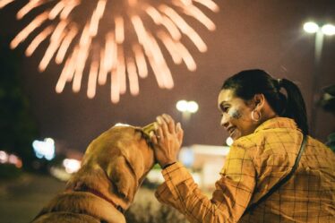 woman sitting and patting dog with fireworks behind