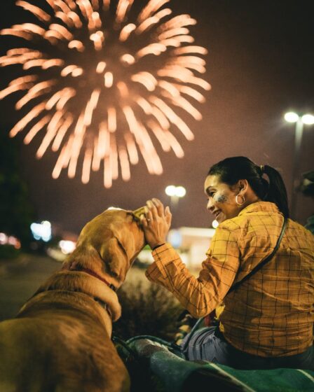 woman sitting and patting dog with fireworks behind