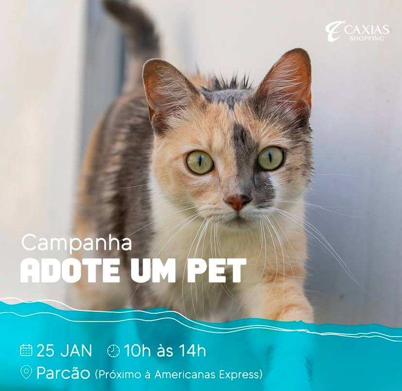 adote um pet