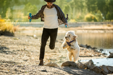 (Imagem: Divulgação/Mars Petcare)