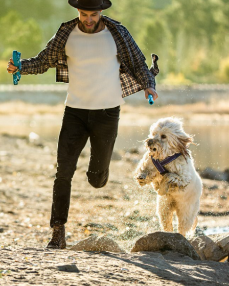 (Imagem: Divulgação/Mars Petcare)