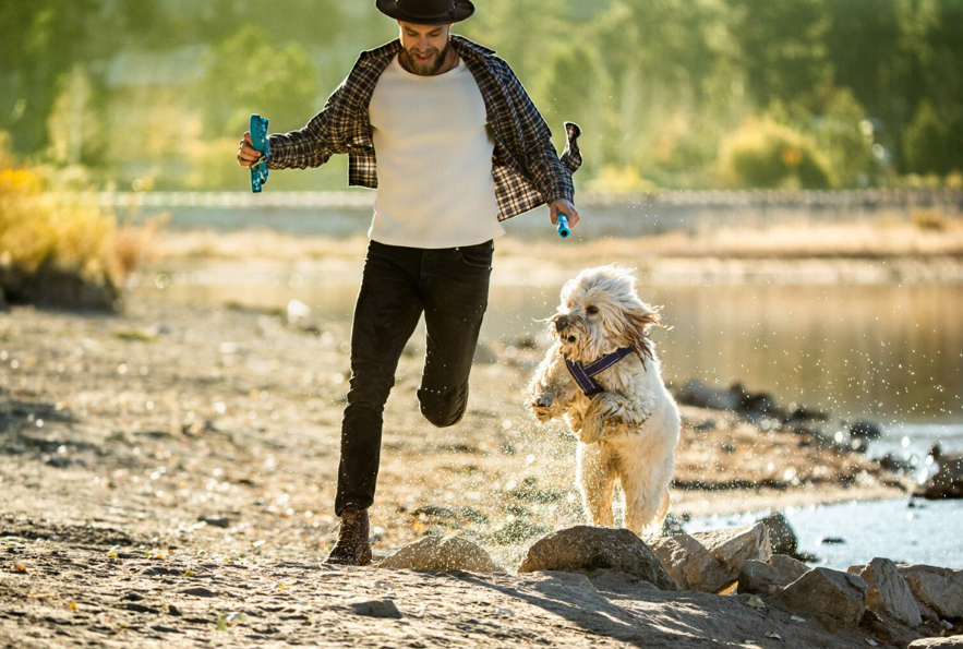(Imagem: Divulgação/Mars Petcare)