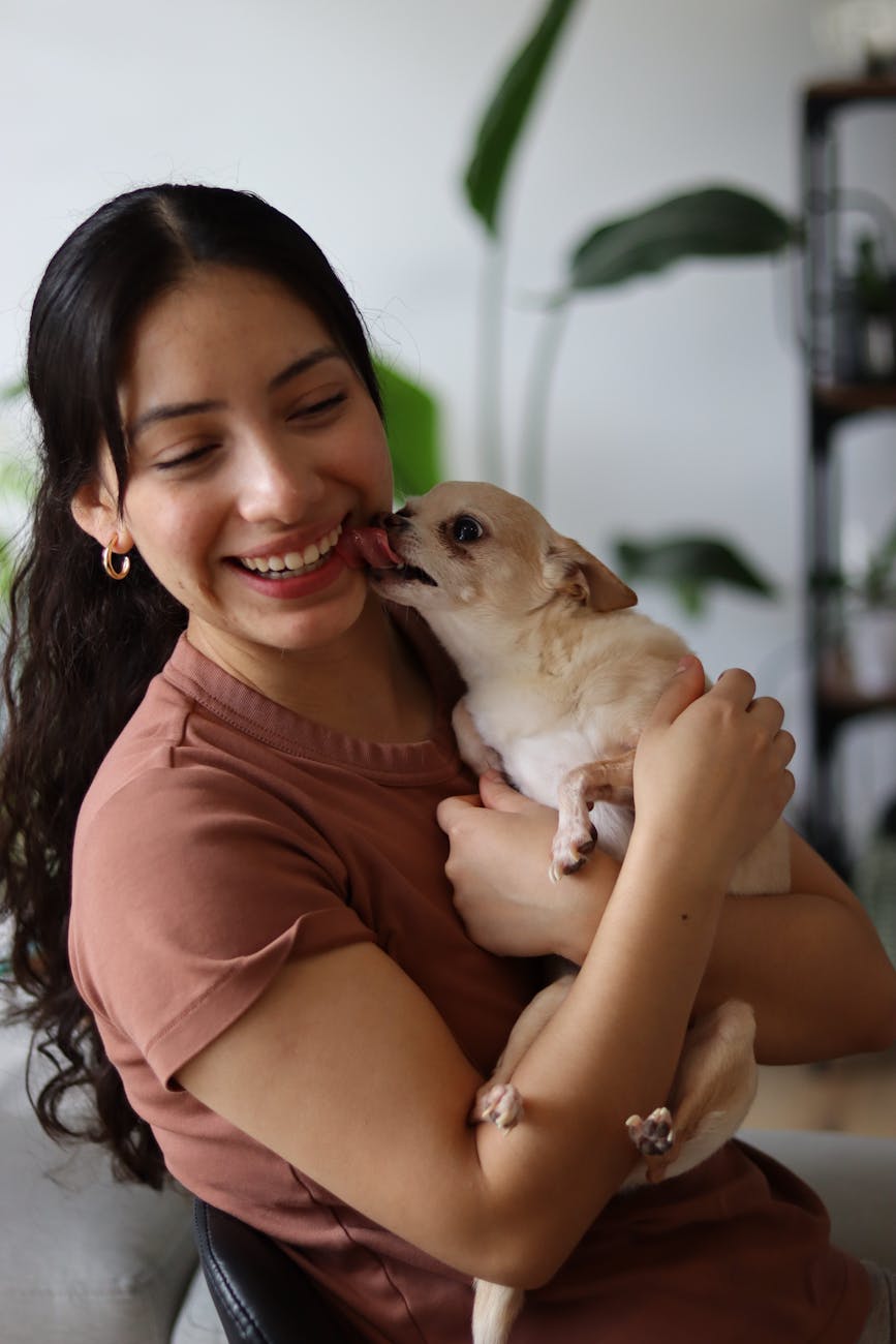 young woman laughing with her chihuahua indoors