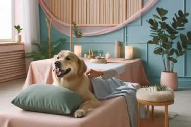 Terapias alternativas para animais: descubra como elas podem ajudar seu pet