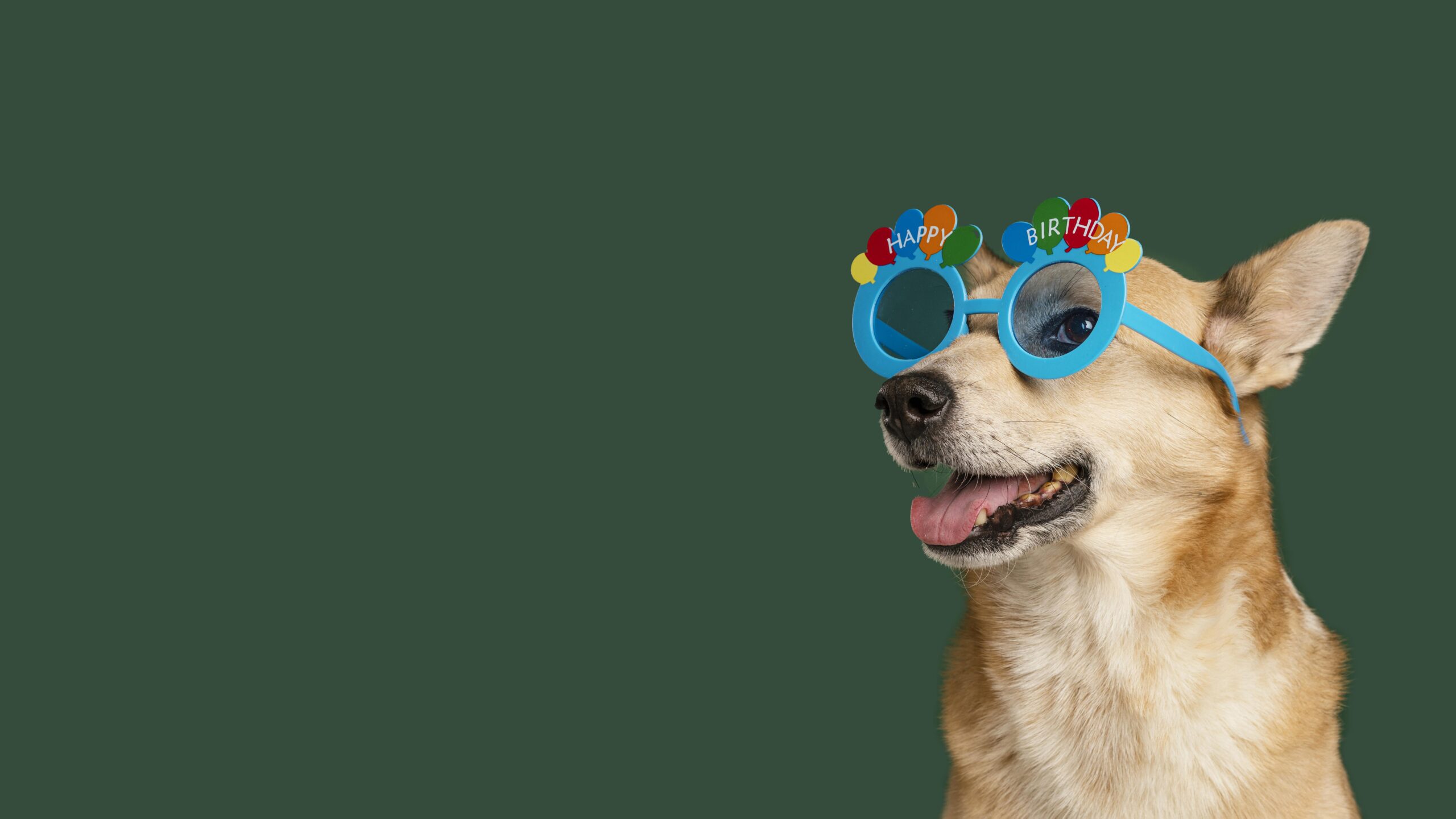 folia pet