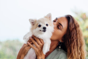 pet
