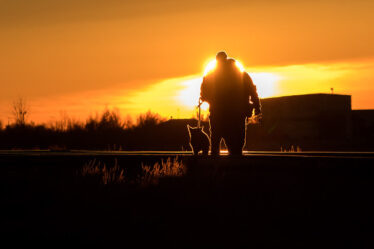 Security personnel and their dog sweep the train tracks