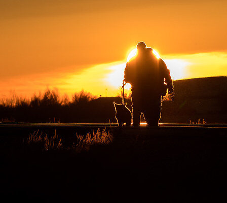 Security personnel and their dog sweep the train tracks