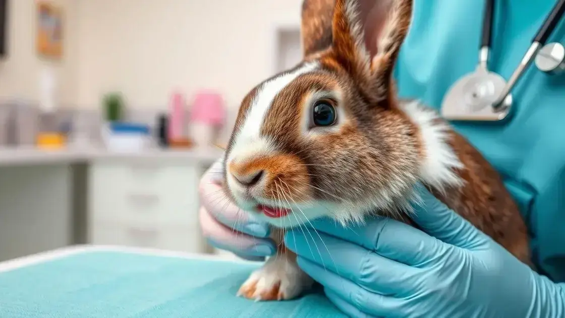 Como identificar problemas dentários nos coelhos