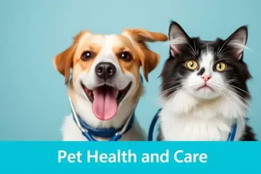 melhor plano de saúde pet custo-benefício: como escolher o ideal