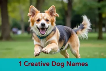 Nomes criativos para cães