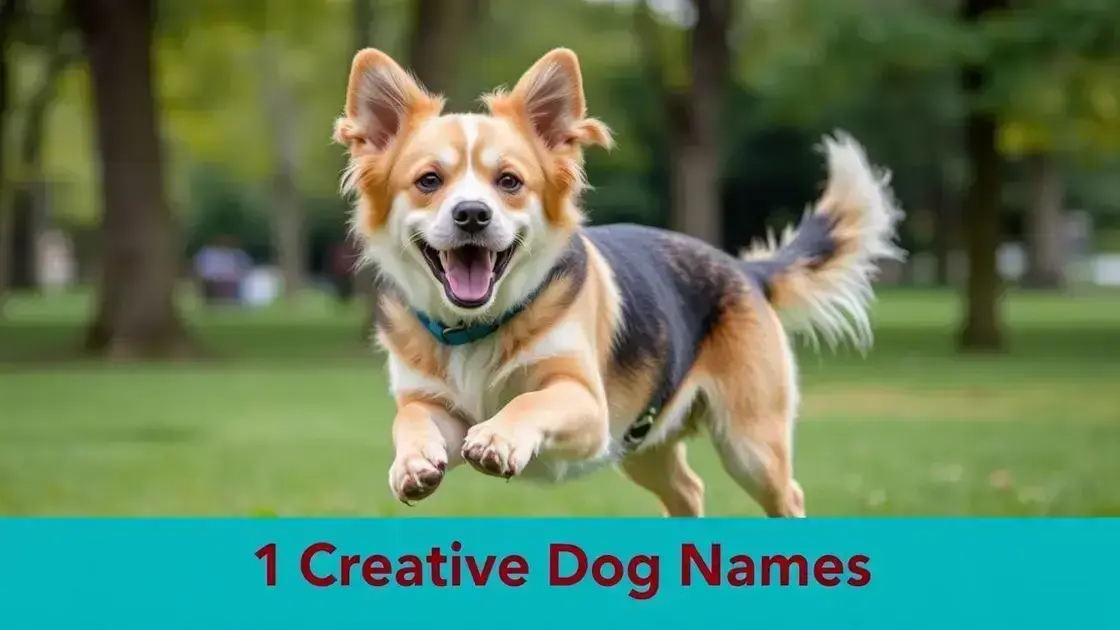 Nomes criativos para cães