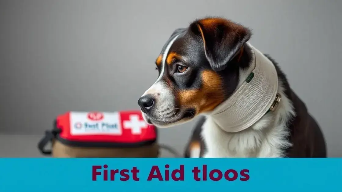 Primeiros socorros para cães: saiba como agir em emergências