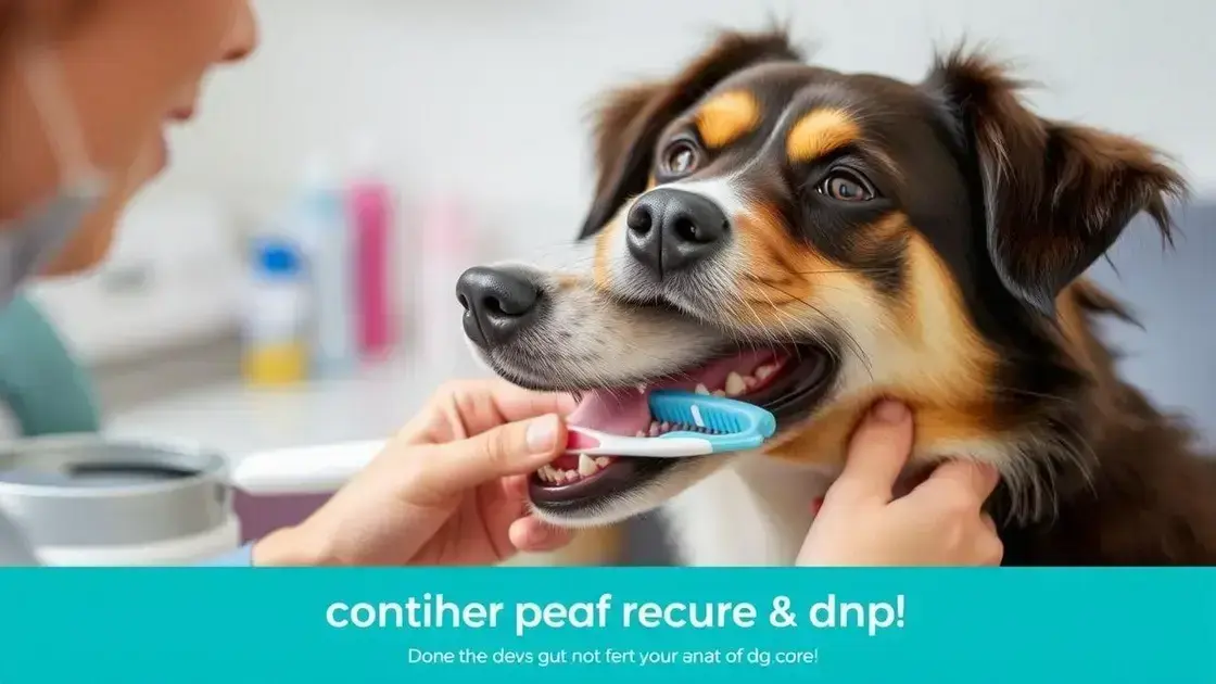Como escovar os dentes do seu pet corretamente