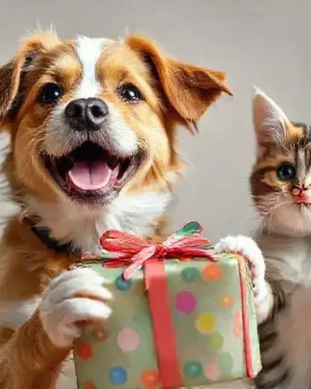 O que dar de presente para quem tem pet? Ideias que vão surpreender