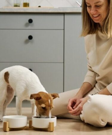 A alimentação do seu pet está acompanhando a vida que ele leva? Entenda