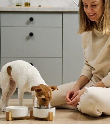A alimentação do seu pet está acompanhando a vida que ele leva? Entenda