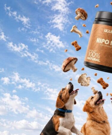 Biotecnologia brasileira avança na pesquisa de novos ingredientes para pet food