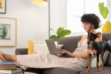 Cerca de 55% dos donos de pets pedem conselhos de dieta à Inteligência Artificial