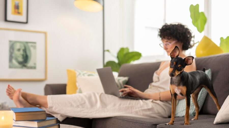 Cerca de 55% dos donos de pets pedem conselhos de dieta à Inteligência Artificial