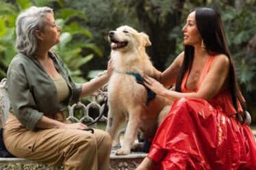 GoldeN patrocina novo programa do GNT e oferece alimentação por um ano aos cães adotados na atração