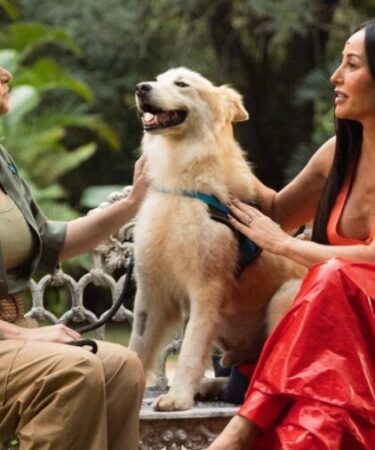 GoldeN patrocina novo programa do GNT e oferece alimentação por um ano aos cães adotados na atração