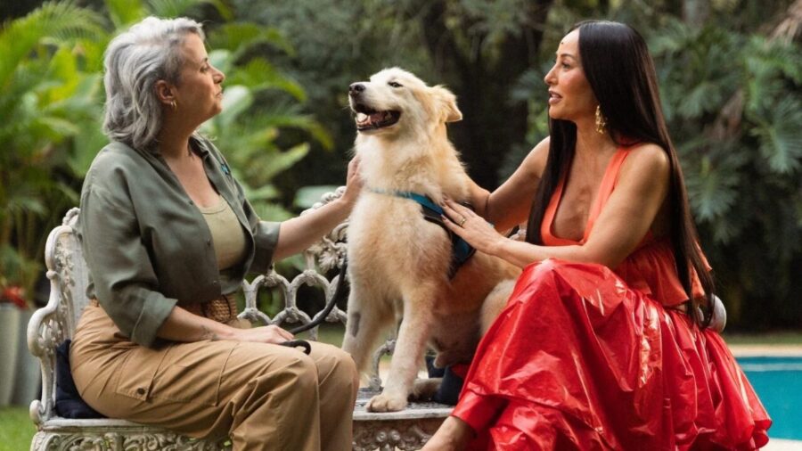 GoldeN patrocina novo programa do GNT e oferece alimentação por um ano aos cães adotados na atração