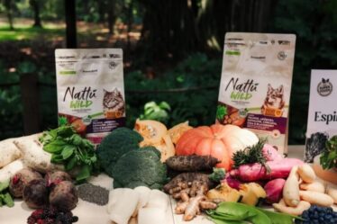 Nattu apresenta linha Wild e novidades em nutrição pet no CVDL in Rio de 2026