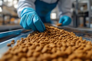 Rastreabilidade na indústria de pet food ganha espaço na gestão da qualidade