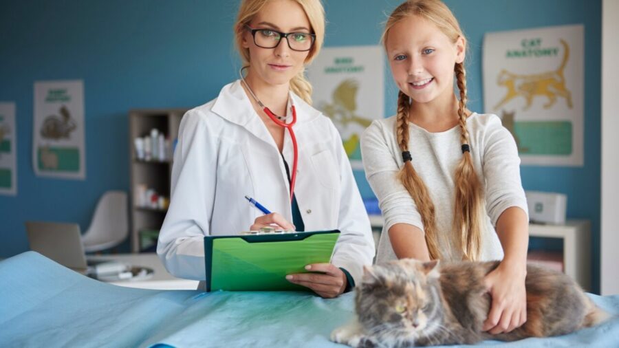 Toxoplasmose vai além dos gatos e exige cuidados com alimentos, água e higienização