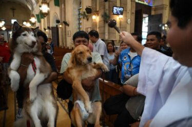 Tutores levam pets para bênção no Dia de São Francisco e dos Animais; veja fotos