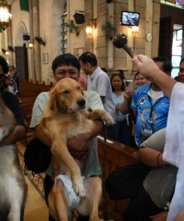 Tutores levam pets para bênção no Dia de São Francisco e dos Animais; veja fotos